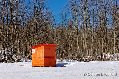 Orange Blueberry Stand_06111.jpg - Photographed near Sharbot Lake, Ontario, Canada. 